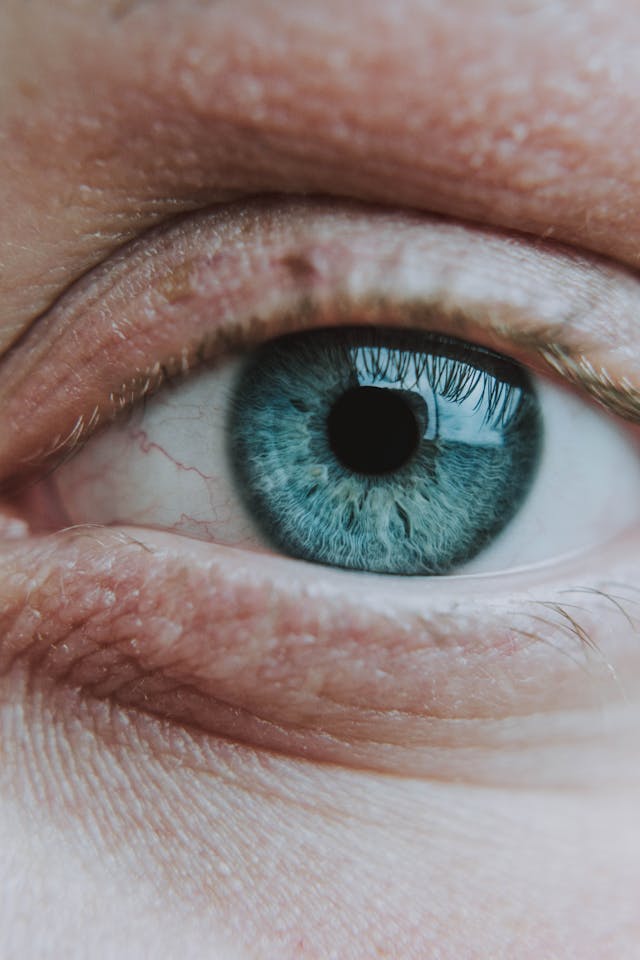 Digital retinal photography equipment