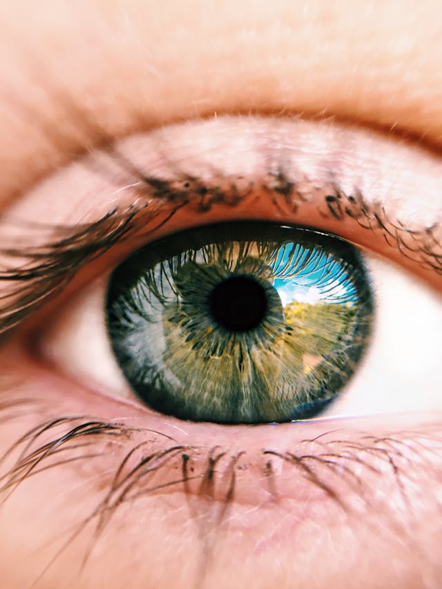 Eye disease diagnosis and treatment technology