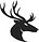 MadDock Head_edited.jpg