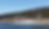 IMG_2035.png